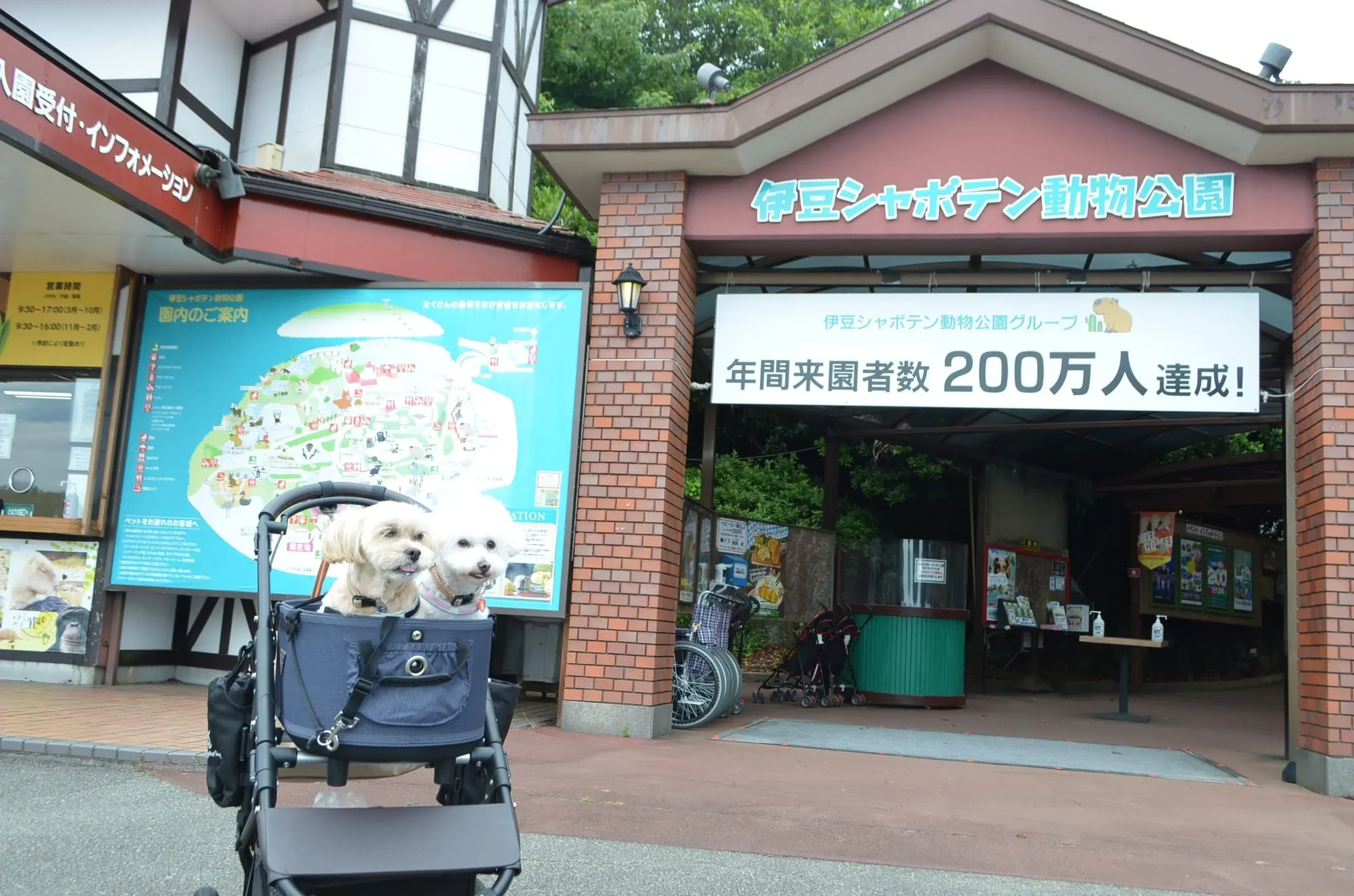 伊豆の大人気動植物園！わんちゃんと一緒に散策が楽しめます。